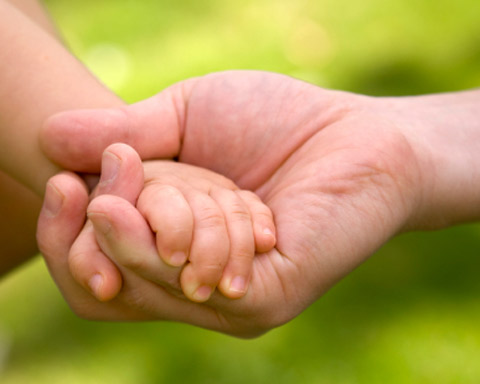 Family Law